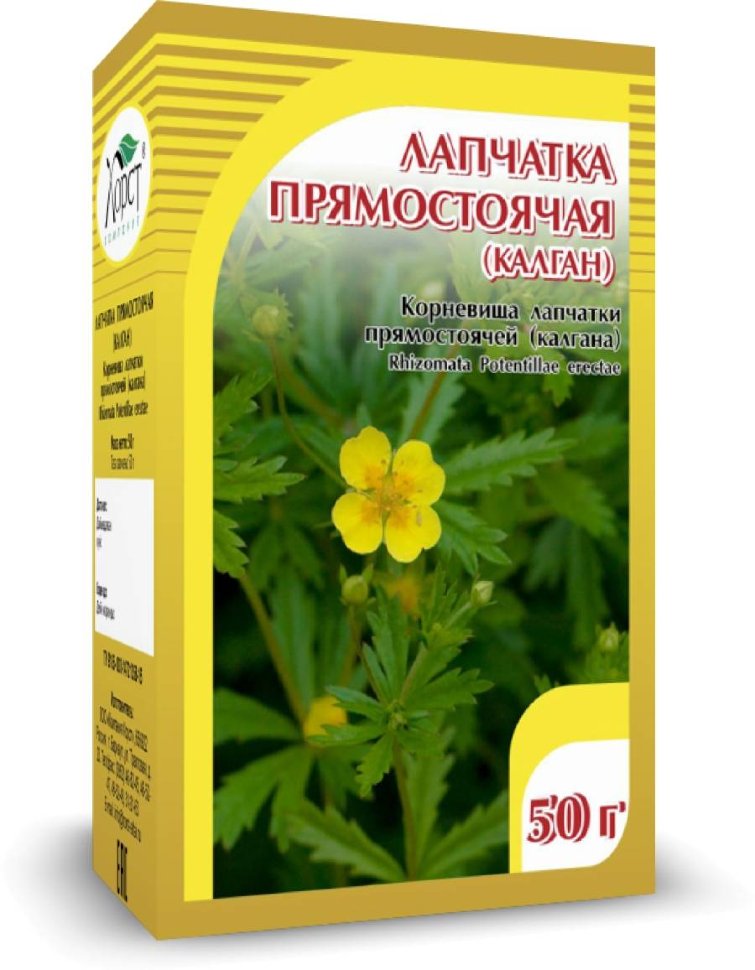 Лапчатка прямостоячая (калган), 50 г., Хорст Вид №1