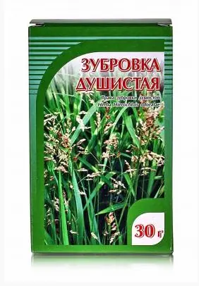 Купить Зубровка душистая, трава, 30 г., Хорст | цена отзывы инструкция