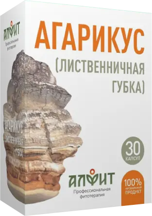 Купить Агарикус (похудение, очистка организма, противоопухолевое), 30 ...