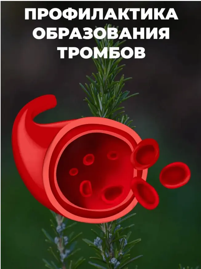 Чем полезен чай саган дайля: что это за сорт, противопоказания и полезные свойства напитка