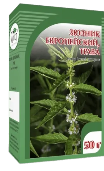 Купить Зюзник европейский, трава, 50 г., Хорст | цена отзывы инструкция