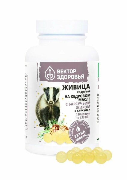Живица кедровая 125 на кедровом масле с барсучьим жиров 150 капс Вектор здоровья 1034₽